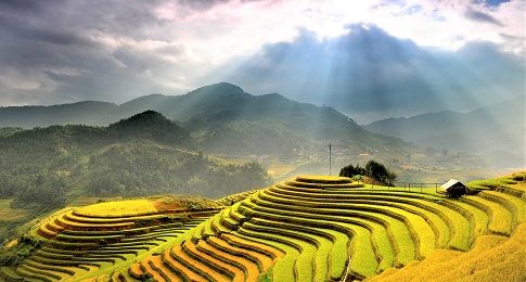 Les rizieres en terraces a Mu Cang Chai Tamtours