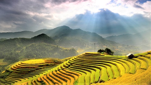 Les rizieres en terraces a Mu Cang Chai Tamtours