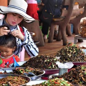 Une marchante des insectes au marche Skun Tamtours.fr